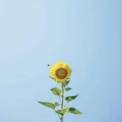 新世纪棋牌手机app下载