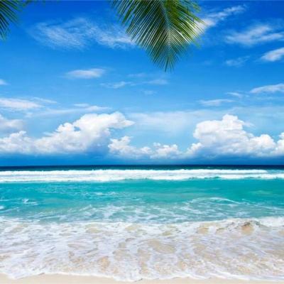 幸运彩票app下载截图