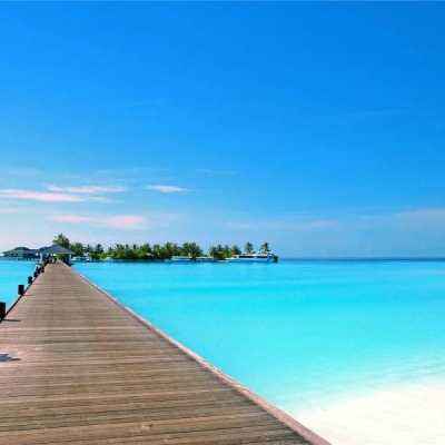 亿博app官网首页