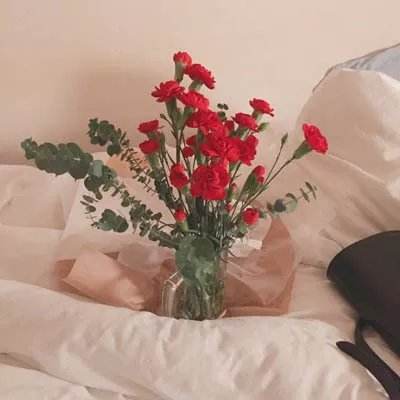 一分钟彩票app下载