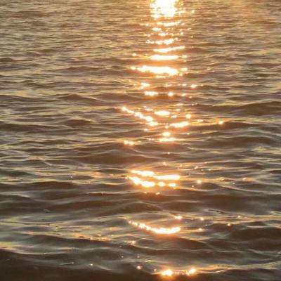 乐鱼娱乐app下载手机版